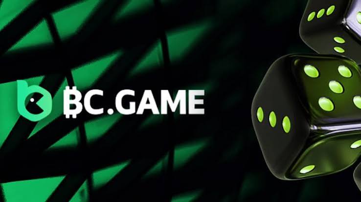 Exploring BC.Game Hub The Ultimate Destination for Crypto Gambling