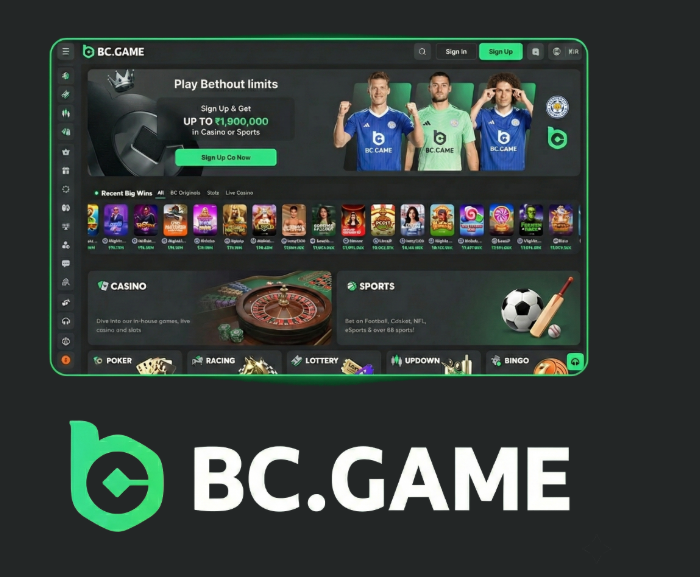 Exploring BC.Game Mirror Site A Comprehensive Guide